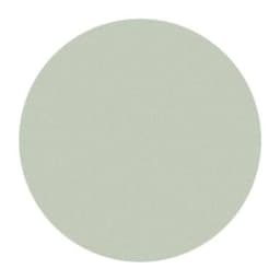 30MIC 3M668X PSA DISC 5"3M