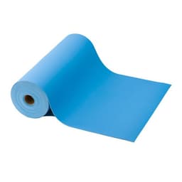 ACL Staticide Inc 62500