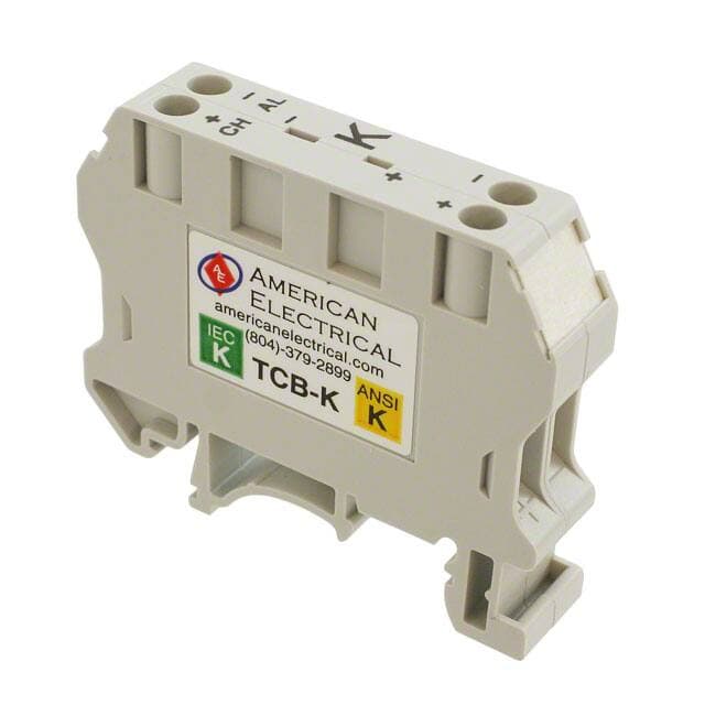 American Electrical Inc. TCB-K