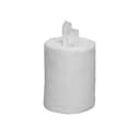 Chemtronics SIP100R