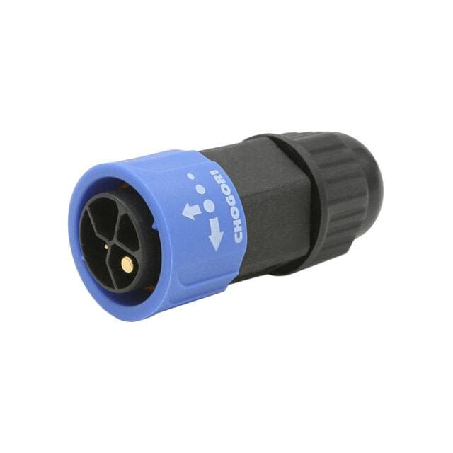 Chogori Technologies Inc. 24305131-02