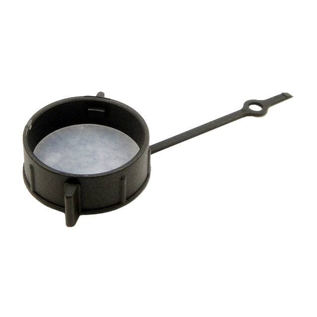 Chogori Technologies Inc. 806-0001-00