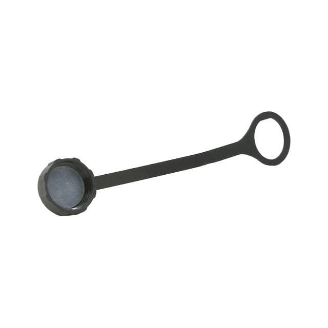 Chogori Technologies Inc. 806-00030-00
