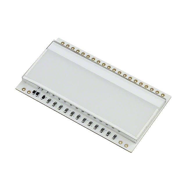 Display Visions EA LED55X31-RGB