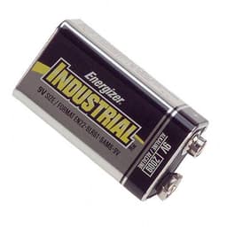 Energizer Battery Company EN22