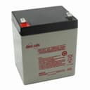 EnerSys NPX-25T