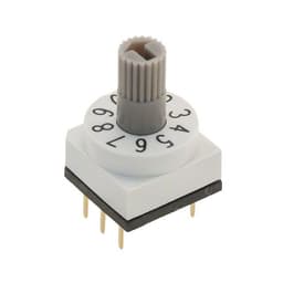 E-Switch RDTBR10P1T