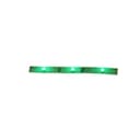 Inspired LED, LLC 12V-NB-GRN-12M