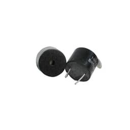 BRT1209PF-06International Components Corp.