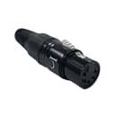 IO Audio Technologies IO-XLR5-F-BK