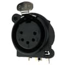 IO Audio Technologies IO-XLR5-F-EH