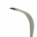 I.O. Interconnect GLF-120-010-020