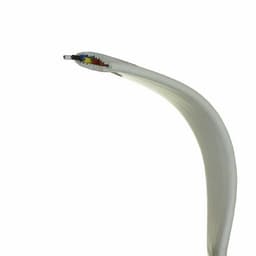 I.O. Interconnect GLF-120-010-020