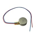 Jinlong Machinery & Electronics, Inc. G1036002D
