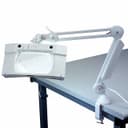Luxo 17842LG
