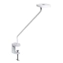 Luxo TRC026635