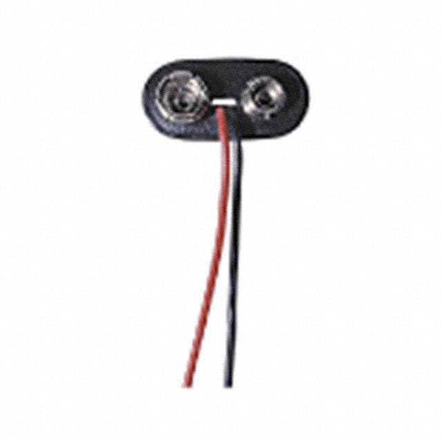 MPD (Memory Protection Devices) BS6T