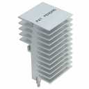 Ohmite CR101-25VE