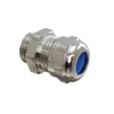 Pflitsch 18555.6