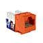 Quest Technology International Inc. NKJ-5504