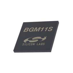SKYWORKS BGM11S12F256GA-V2
