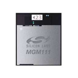 SKYWORKS MGM111A256V1R