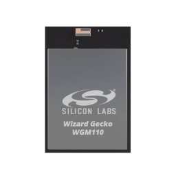 SKYWORKS WGM110E1MV2R