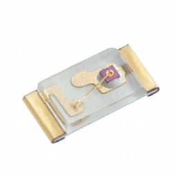 SUNLED XZDGK53W-6