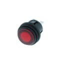 Switch Components PB-2B-DC-2-RDL