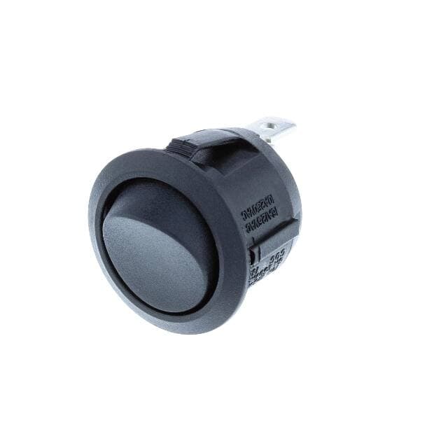 Switch Components RA1-1A-DC-2-B