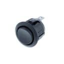 Switch Components RA1-1F-DC-2-B