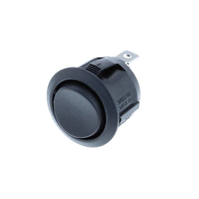 Switch Components RA1-1F-DC-2-B