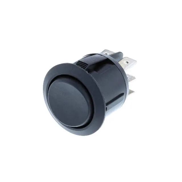 Switch Components RA1-2G-DC-2-B