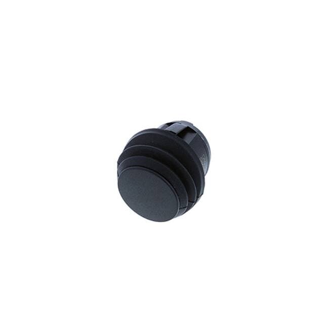 Switch Components RA4-2F-DC-2-B