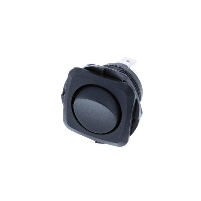 Switch Components RB1-1E-DC-2-B