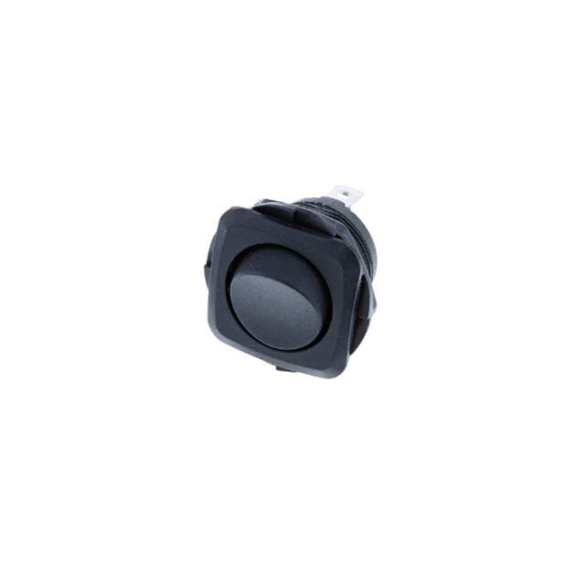 Switch Components RB1-1H-DC-2-B