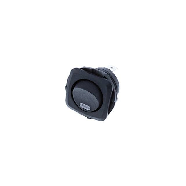 Switch Components RB3-1A-DC-2-AL