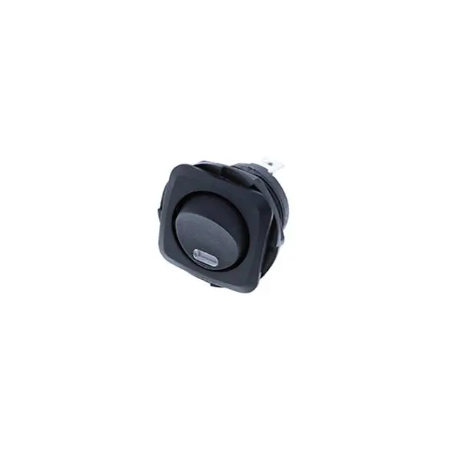 Switch Components RB3-1A-DC-2-GL