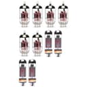 TubeDepot 181STANDARD_TUBE_SET
