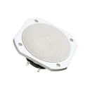 Visaton GmbH & Co. KG FRS 10 WP - 8 OHM (WHITE)