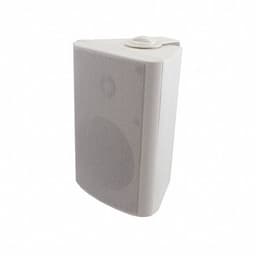 Visaton GmbH & Co. KG WB 10 - 100 V/8 OHM (WHITE)