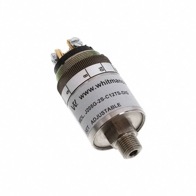 Whitman Controls, LLC J205G-2S-C12TS-DIS