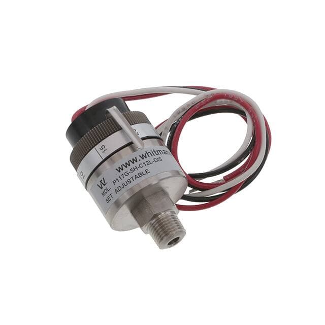 Whitman Controls, LLC P117G-5H-C12L-DIS