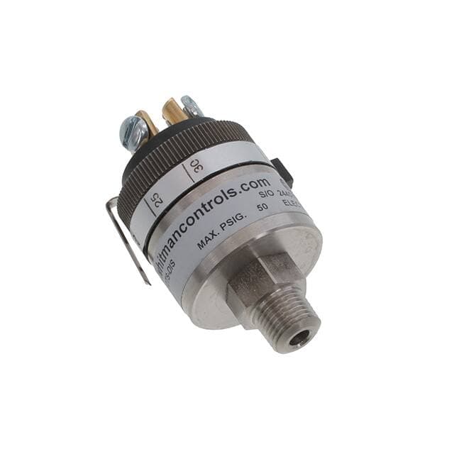 Whitman Controls, LLC P117G-5H-C12TS-DIS