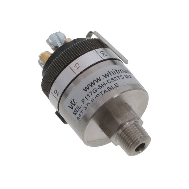 Whitman Controls, LLC P117G-5H-C52TS-DIS