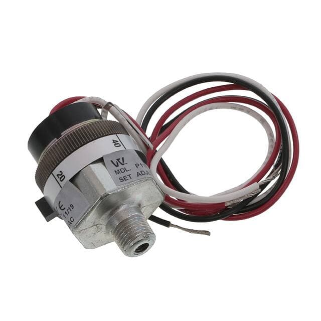 Whitman Controls, LLC P119G-10H-C12L-DIS