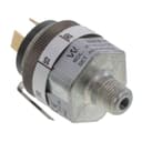 Whitman Controls, LLC P119G-3H-C52TB-DIS