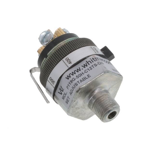 Whitman Controls, LLC P119G-50H-C12TS-DIS