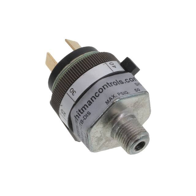 Whitman Controls, LLC P119G-5H-C12TB-DIS