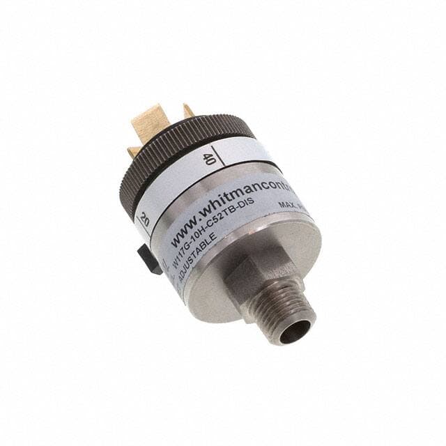 Whitman Controls, LLC W117G-10H-C52TB-DIS